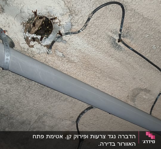 תמונה של קיר עם חור וצינור חשמל